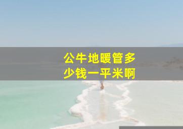 公牛地暖管多少钱一平米啊