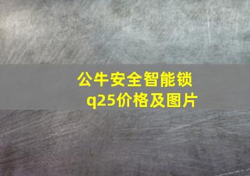 公牛安全智能锁q25价格及图片