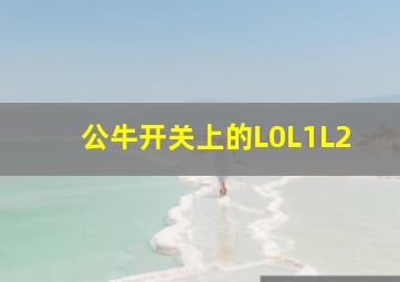 公牛开关上的L0L1L2