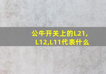 公牛开关上的L21,L12,L11代表什么