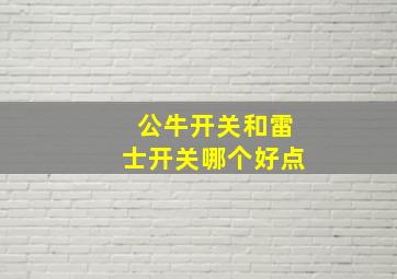 公牛开关和雷士开关哪个好点