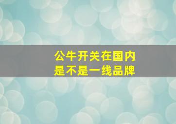 公牛开关在国内是不是一线品牌