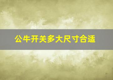 公牛开关多大尺寸合适