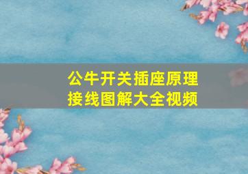 公牛开关插座原理接线图解大全视频