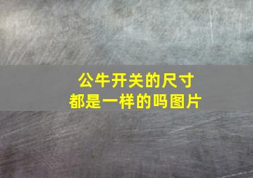 公牛开关的尺寸都是一样的吗图片