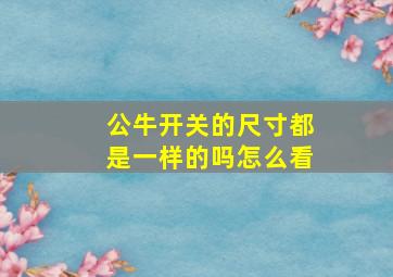 公牛开关的尺寸都是一样的吗怎么看