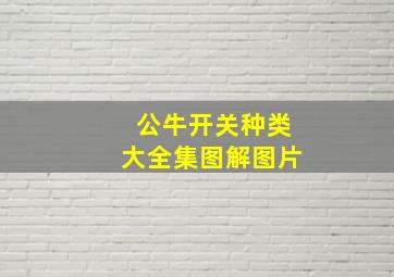 公牛开关种类大全集图解图片