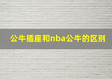 公牛插座和nba公牛的区别