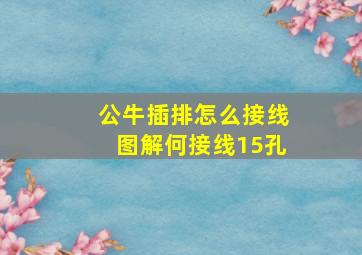 公牛插排怎么接线图解何接线15孔