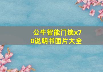 公牛智能门锁x70说明书图片大全