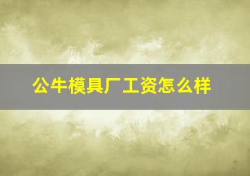 公牛模具厂工资怎么样