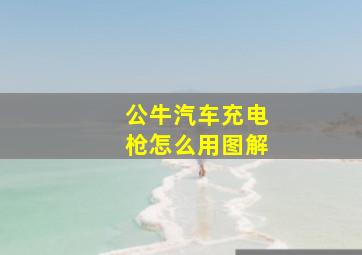 公牛汽车充电枪怎么用图解