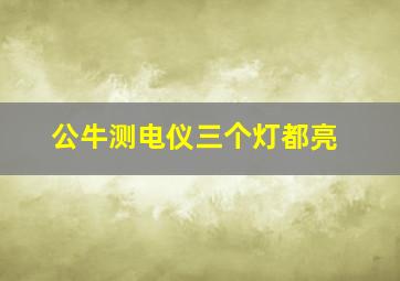 公牛测电仪三个灯都亮