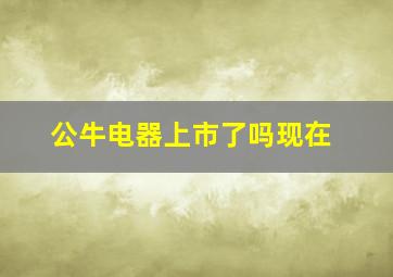 公牛电器上市了吗现在