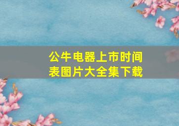 公牛电器上市时间表图片大全集下载