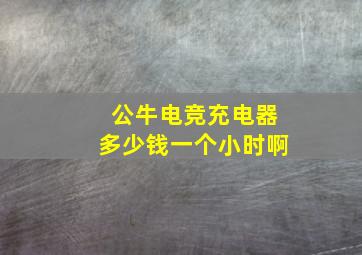 公牛电竞充电器多少钱一个小时啊