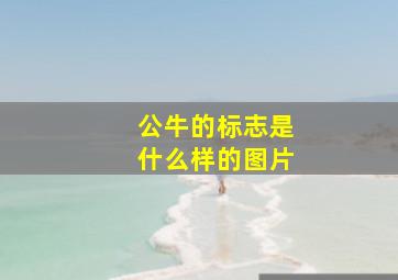 公牛的标志是什么样的图片