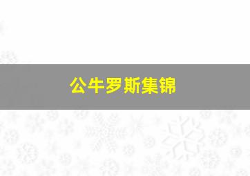 公牛罗斯集锦