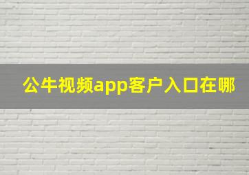 公牛视频app客户入口在哪