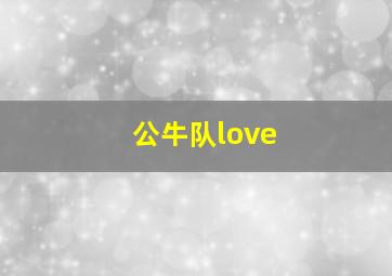 公牛队love