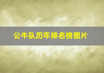 公牛队历年排名榜图片