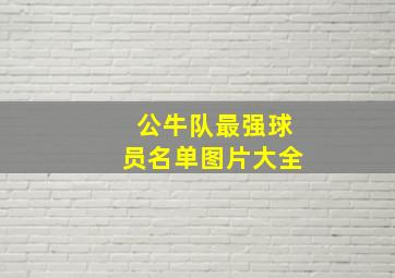 公牛队最强球员名单图片大全