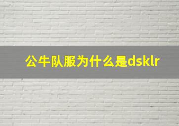 公牛队服为什么是dsklr