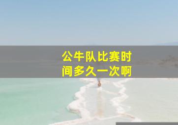 公牛队比赛时间多久一次啊