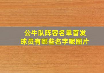 公牛队阵容名单首发球员有哪些名字呢图片