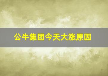 公牛集团今天大涨原因