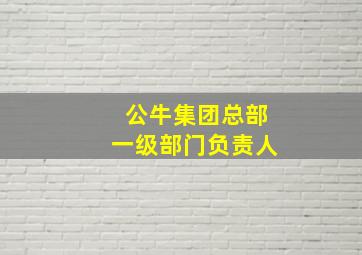 公牛集团总部一级部门负责人