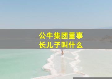 公牛集团董事长儿子叫什么