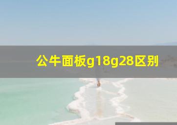 公牛面板g18g28区别