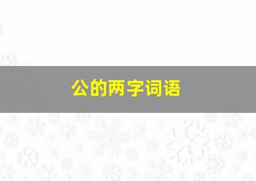 公的两字词语