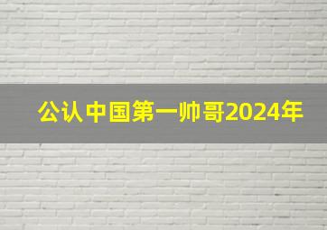 公认中国第一帅哥2024年