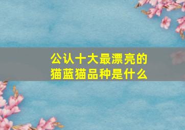 公认十大最漂亮的猫蓝猫品种是什么