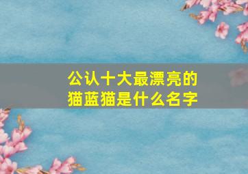 公认十大最漂亮的猫蓝猫是什么名字