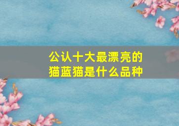 公认十大最漂亮的猫蓝猫是什么品种