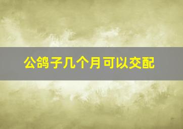 公鸽子几个月可以交配