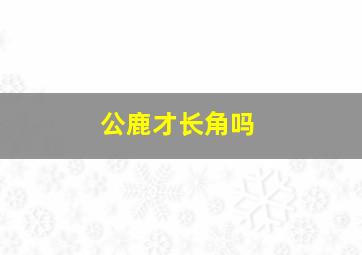 公鹿才长角吗