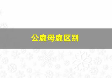 公鹿母鹿区别