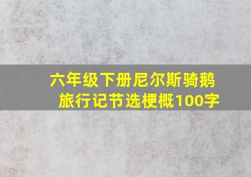 六年级下册尼尔斯骑鹅旅行记节选梗概100字