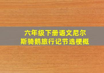 六年级下册语文尼尔斯骑鹅旅行记节选梗概