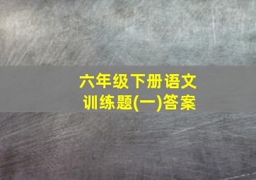 六年级下册语文训练题(一)答案