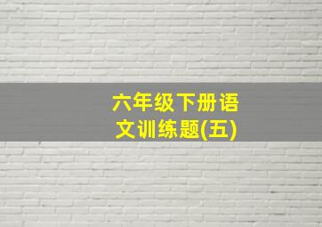 六年级下册语文训练题(五)