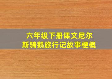 六年级下册课文尼尔斯骑鹅旅行记故事梗概