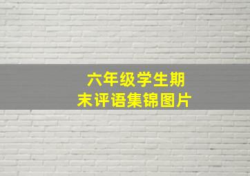 六年级学生期末评语集锦图片