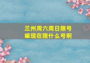 兰州周六周日限号嘛现在限什么号啊