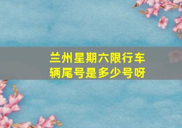 兰州星期六限行车辆尾号是多少号呀