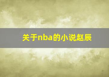 关于nba的小说赵辰